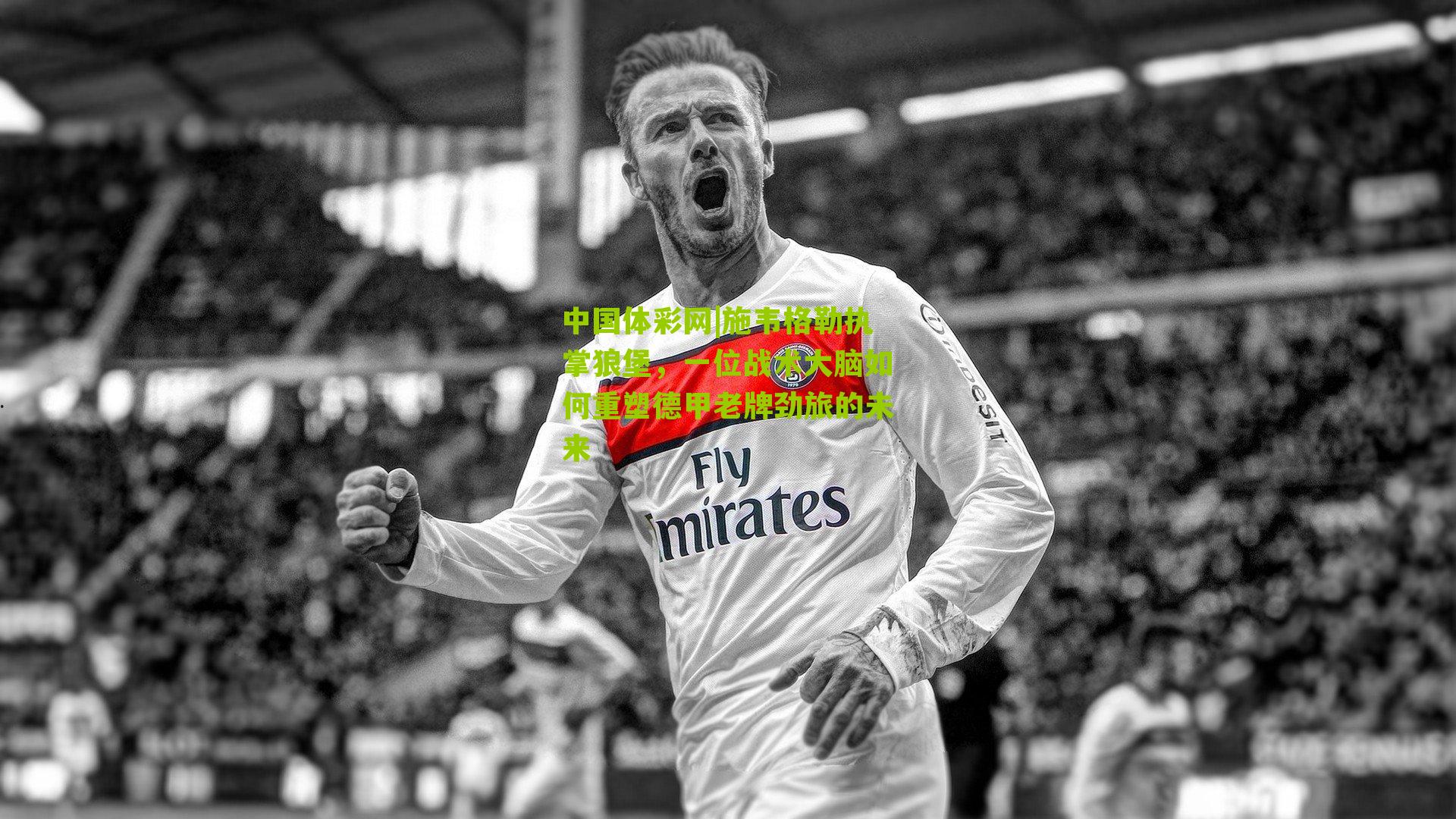 施韦格勒执掌狼堡，一位战术大脑如何重塑德甲老牌劲旅的未来